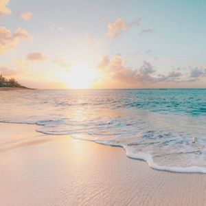 Meet your Posher, Jacquelyn